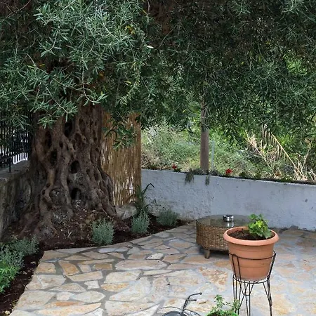 Pame Yianni! 2bd Cozy In Apartment